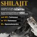 Biotary Shilajit Resin 60g Gold Standard 85+ minerals maximum potential from the Himalayas more than 3 months stock 100 pure & original vegan & without additives - Buy Online on GoSupps.com