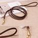 HiCaptain Thin Leather Leash - Small Dogs & Cats Up to 15-30 lb - 1/3 inch Wide, 6 Feet - Buy Online on GoSupps.com