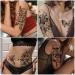 Cerlaza Waterproof Temporary Tattoos for Women - 79 Long Lasting Styles | Realistic Body Art Tatuajes Temporales Adult - Buy Online on GoSupps.com
