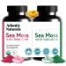Atlantic Naturals Sea Moss Superfood Bundle - Sea Moss with Beet Root & Spirulina Capsules - Defense Support Blood Flow Joint Health & Iron - 240 Capsules (2 x 120 ct)
