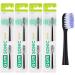 Gum Sonic Daily Replacement Brush Heads - Sweet Microfine Bristles for Gentle Cleaning (4x2 Black) | International Shipping Available - Buy Online on GoSupps.com