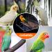 Bird Cage Feeders No Mess Bird Feeder Acrylic Automatic Seed Food Container with Hook for Parrot Budgie Cockatiels - Buy Online on GoSupps.com