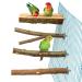 4 Pack Natural Wood Bird Perch for Bird Cages,Parrot Stand Perch Platform Exercise Playground Toys Paw Grinding Stick Perch Stand Cage Accessories for Budgies Cockatiel Conure Parakeet Lovebirds H01