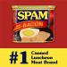 SPAM Bacon 12 Oz - Delicious 12.0 Ounce Pack of 1 - Buy Online on GoSupps.com