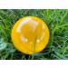 BuyBocceBalls Listing - (1 of 4 options) EPCO Yellow 57mm Bocce Pallino or Pallina - Buy Online on GoSupps.com