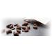 Wickedly Prime Organic Cacao Coconut Crunch Sprouted Nut Blend 6 oz - Pack of 1 - Buy Online on GoSupps.com