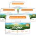 Happy Baby Organics Infant Formula - Milk Based - 84 Oz. (Pack of 4) | USDA Organic Baby Formula - Buy Online on GoSupps.com