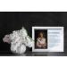WOODEXPE Sympathy Gift: LED Memorial Shadow Box for Loss of Loved One - 8x10 Picture Frame - Buy Online on GoSupps.com