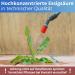 Nanoprotect Acetic Acid - Premium 10 kg Cleaner & Descaler | Versatile for Home & Garden | Made in Germany - Buy Online on GoSupps.com