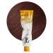 GK HAIR Global Keratin Professional Hair Color Cream Tube (3.4 Fl Oz/100ml) Nourishing & Cleansing Colors for Styling High Performance Long Lasting Semi Permanent Natural Toner Dye Coppers - 6.4 Dark Blonde