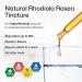 BIO KRAUTER Rhodiola Supplement Liquid - Pure Rhodiola Rosea Tincture for Calmness Support - Alcohol & Sugar Free Extract - 4 Fl.Oz. 4 Fl Oz (Pack of 1) - Buy Online on GoSupps.com