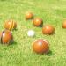 Funliktod Hardwood Bocce Ball Set - 8 Wooden Balls, Pallino, Carry Case & Measuring Tape - Family Outdoor Game Set (2.95') - Buy Online on GoSupps.com