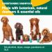 HOWND Yup You Stink 250ml - Dog Shampoo for Smelly Dogs - Fox Poo Shampoo for Dogs - Sensitive Skin Formula with Oatmeal, Eucalyptus, and Cedarwood - Dog Shampoo and Conditioner - Buy Online on GoSupps.com