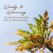 Gya Labs Frankincense Essential Oil Roll On 10ml - Spicy Woody & Warming Scent - Buy Online on GoSupps.com