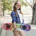 Rainbow High 31 Skateboard - 9-Ply Maple Deck for Cruising, Carving, Tricks & Downhill - Buy Online on GoSupps.com