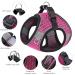Ankilo Upgraded Harness with Leash Set Escape Proof Dog Vest Harnesses Vest Harnesses with Soft Mesh and Reflective Bands No Pull Small Dog Harness for Cats and Small Dogs (Rose-red S) - Buy Online on GoSupps.com