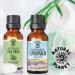 English Cotswold Lavender 15ML Essential Oil - 100% Pure, Undiluted & Therapeutic Grade - Buy Online on GoSupps.com