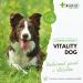 4-BEINER Vitality-Dog: 12 Multivitamins for Dogs Vitamin B Complex Vitamins A C E D Folic Acid Biotin Minerals Zinc Iron Manganese 100 Tablets - Buy Online on GoSupps.com