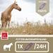 Emma Magnesium for Horses | 1L & 30ml Paste & Liquid | Calm & Relax Nervous Horses | Anti-Stress Nerve Support with Tryptophan - Buy Online on GoSupps.com