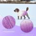 Cit toile Warm Winter Dog Sweater | Soft Knitted Turtleneck Pet Coat for Cold Weather | Color Gradient Design | Perfect for Small & Medium Pets | XL Purple - Buy Online on GoSupps.com