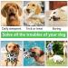 Tiyupa Dog Football - Interactive 15cm Floating Toy Ball with Pump for Small & Medium Dogs | Durable & Fun Outdoor Indoor Play - Buy Online on GoSupps.com