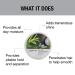 GREAT CLIPS Tea Tree Coconut Oil Texture 2oz | Pliable Hold for Dry & Coarse Hair - Buy Online on GoSupps.com