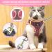 Reflective Cat Dishes with Leash - Adjustable Breakout-Proof Tableware Set for Cats & Small Dogs (Pink-Small) - Buy Online on GoSupps.com