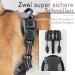 Rabbitgoo Dog Harness for Medium Dogs - No Pull Adjustable Breathable & Safe with Reflex Stripes Ideal for Training & Walking 1 Pack (Gray) - Buy Online on GoSupps.com