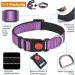 Haapaw Reflective Dog Collar - Padded Soft Neoprene Nylon for Small & Medium Dogs - Purple L (1 Pack) - International Shipping Available - Buy Online on GoSupps.com