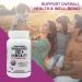 Planet Source ZEC+ Immunity - Adult Vitamins with Zinc Elderberry and Vitamin C - Natural Elderberry Immune Support Supplement for Healthy Living - 90 Count Veggie Capsules - Buy Online on GoSupps.com