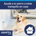 Adaptil Calm - Anti-Stress for Dogs - Home Alone Fear Loud Noises Adoption - 48ml Refill - Buy Online on GoSupps.com