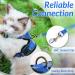 Rabbitgoo Cat Dishes & Soft Harness Set - Premium Cat Breastware for Safe Outings | International Shipping - Buy Online on GoSupps.com