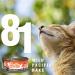 Healthy Shores Minced Hake Cat Food - Buy Online on GoSupps.com