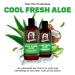 Dr. Squatch Men's Beach Expanded Pack - Natural Bar Soap & Cool Fresh Aloe Hair Care Set - Buy Online on GoSupps.com