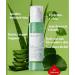 CICA Aloe Hydrating Toner Spray for Face - pH Balanced Facial Mist - Aloe Vera and Centella Asiatica - for Acne Prone and Sensitive Skin - Korean Skincare for Redness Dryness - Buy Online on GoSupps.com