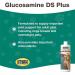 NaturVet Glucosamine DS Plus Level 2 Joint Support Liquid Supplement for Dogs and Cats - 16 oz. Made in USA - Buy Online on GoSupps.com
