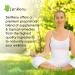 Zenrenu Organic Hemp Cream with MSM, Turmeric, Arnica - Premium Hemp Oil, Made in USA - Buy Online on GoSupps.com