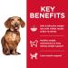 Hill's Science Diet Adult Perfect Weight Small & Mini Chicken Recipe Dry Dog Food 4lb - Pack of 1 - Buy Online on GoSupps.com