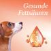 Martenbrown 1L Norwegian Premium Salmon Oil for Dogs Horses & Cats | Fish Oil for Dry & Canned Food | BARF Oil - Buy Online on GoSupps.com