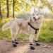 Cooltail Non-Slip Waterproof Dog Socks | Outdoor Dog Shoes for Hardwood Floors | Pink Medium with Belt Traction Control - Buy Online on GoSupps.com