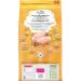 Beyond Simply Natural Dry Dog Food Farm-Raised Chicken & Whole Barley - 5.3 kg Bag 5.3 kg (Pack of 1) - Buy Online on GoSupps.com