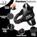 Pawpawify Custom Dog Harness - No Pull Durable Adjustable (28-38in) - Prevents Choking for Safe Training & Walking in Black - Buy Online on GoSupps.com