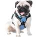 Phoepet Reflective Dog Harness XL Adjustable Vest with Training Handle Name ID Card & 3 Metal Hooks - Easy On/Off Baby Blue - Buy Online on GoSupps.com