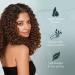 Curl Keeper Refresh Styling Spray - Lightweight Anti-Frizz Humidity Spray with Hold for Wavy and Curly Hair 3.4 Fl Oz 3.4 Fl Oz (Pack of 1) - Buy Online on GoSupps.com