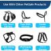 Petsafe Nylon Dog Leash - Strong, Durable Traditional Leash with Bolt Snap - 3/8 x 6 ft, Black - Buy Online on GoSupps.com
