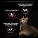 PRO PLAN Adult 1+ Delicate Digestion Turkey Dry Cat Food 3kg - Buy Online on GoSupps.com