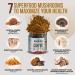 La Republica Dreamer Organic Mushroom Coffee (30 Servings) | 7 Superfood Mushrooms | Fair Trade Arabica Coffee | Hirie Music Limited Edition - Buy Online on GoSupps.com