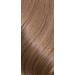 Revlon Colorstay Longwear Permanent Cream Colour Dark Ash Blonde 7.1 (Pack of 2) Dark Ash Blone 165 ml (Pack of 2) - Buy Online on GoSupps.com
