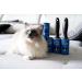 Yabeepet Lint Roll for Animal Hair Set - 600 Sheets 10cm Wide - 2 Rolls + 3 Refill Packs - Effective Pet Hair Removal for Clothing - Buy Online on GoSupps.com