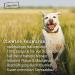 100% Natural Chewies Chewing Root for Dogs - Durable & Safe Dog Toy for Small Dogs (Up to 10kg) | Baumheide Wurzel - S (1 Pack) - Buy Online on GoSupps.com